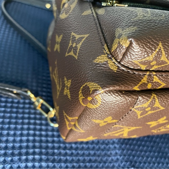 Louis Vuitton Palms Springs mini - Picture 10 of 15